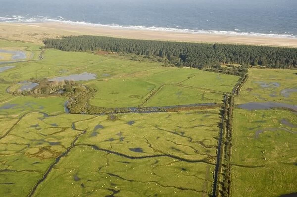 Aerial view of grazing marsh, pine woodland and coastline, Holkham National Nature Reserve, North Norfolk, England
