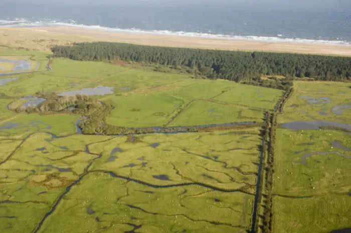 Framed Print : Aerial view of grazing marsh, pine woodland and coastline, Holkham National Nature Reserve, North Norfolk, England