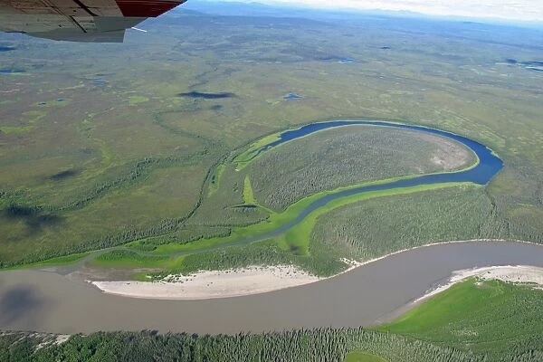 Aerial view of oxbow lake formed from river, Koyukuk River, Central Alaska, U. S. A. july