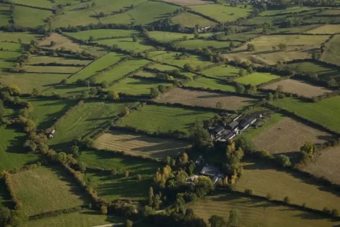 Framed Print : Aerial view of pasture and meadows with hedgerows farm buildings and cattle, near Ashbourne, White Peak, Peak District Framed Print : Aerial view of pasture and meadows with hedgerows farm buildings and cattle, near Ashbourne, White Peak, Peak District