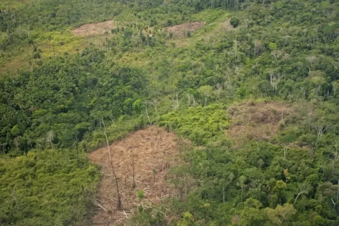 Framed Print : Aerial view of rainforest destruction, land clearance for farming, Peruvian Amazon, Peru, September Framed Print : Aerial view of rainforest destruction, land clearance for farming, Peruvian Amazon, Peru, September