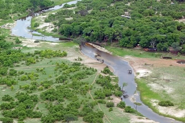 Aerial view of river, African Elephants (Loxodonta africana) and tourist lodge, Okavango Delta, Botswana