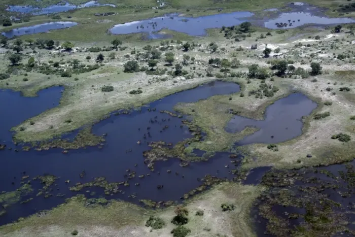Framed Print : Aerial view of wetland habitat with channel, Kwando, Linyanti, Botswana Framed Print : Aerial view of wetland habitat with channel, Kwando, Linyanti, Botswana