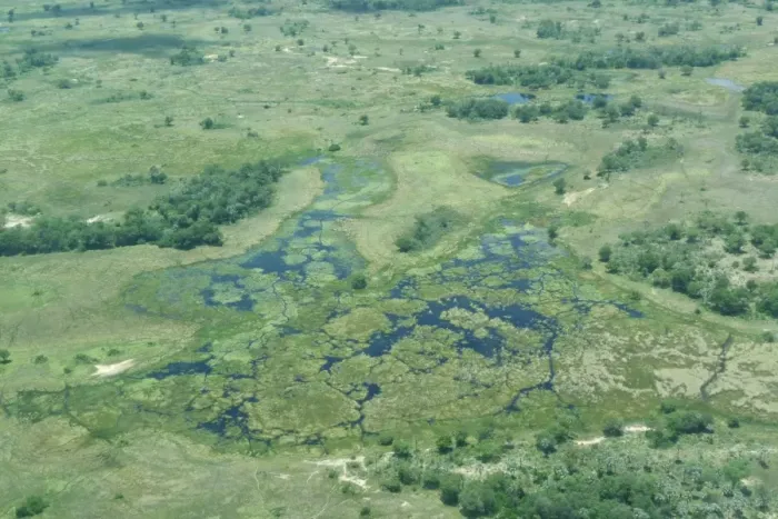 Framed Print : Aerial view of wetland habitat, Okavango Delta, Botswana