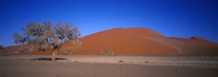 Framed Print : Africa - Namibia Dune 45, Tsauchab River Valley at Sossus Vlei - Namibia
