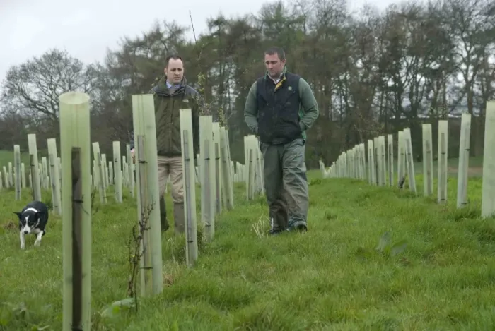 Framed Print : Agronomist and farmer checking new deciduous tree plantation on field boundary for screening Framed Print : Agronomist and farmer checking new deciduous tree plantation on field boundary for screening