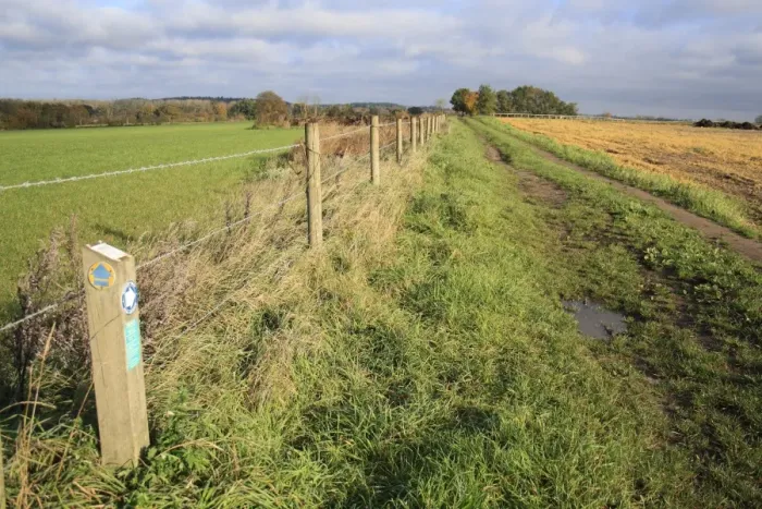 Framed Print : Angles Way National Trail, sign on post beside barbed wire fence, beside bridleway on farmland, Hopton, Suffolk Framed Print : Angles Way National Trail, sign on post beside barbed wire fence, beside bridleway on farmland, Hopton, Suffolk