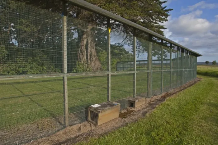 Framed Print : Anti-predator fence and traps, to exclude introduced predators from area, New Zealand, november Framed Print : Anti-predator fence and traps, to exclude introduced predators from area, New Zealand, november