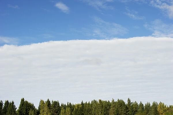 Approaching weather front, clouds over forest, Sweden, september