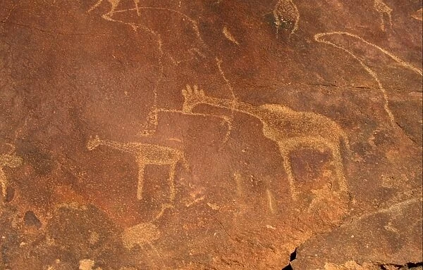 Archaeology Petroglyphs. Bushman Rock Paintings at Twyfelfontain, Namibia