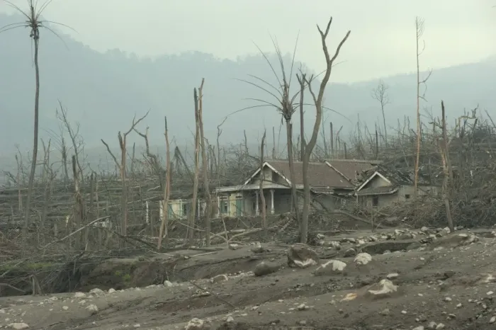 Framed Print : Ash covered fields, damaged house and dead trees, from recent volcanic eruption, Kepuharjo, Mount Merapi, Central Java Framed Print : Ash covered fields, damaged house and dead trees, from recent volcanic eruption, Kepuharjo, Mount Merapi, Central Java