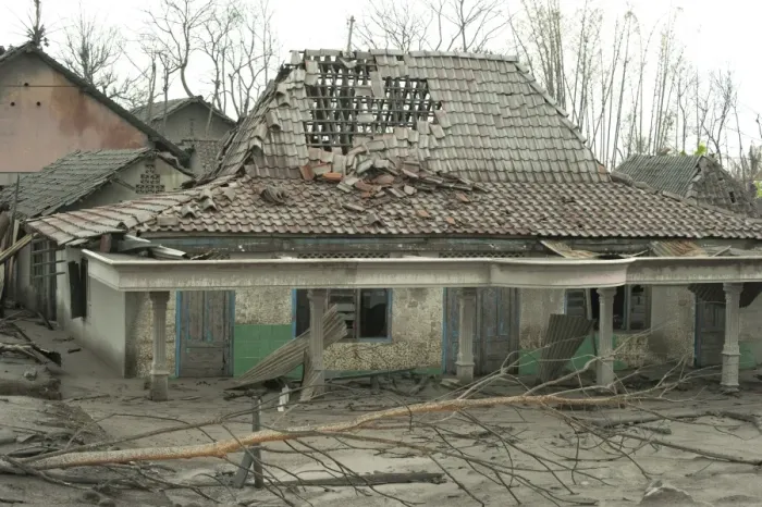 Framed Print : Ash covered roof of damaged house and dead trees, from recent volcanic eruption, Kepuharjo, Mount Merapi, Central Java Framed Print : Ash covered roof of damaged house and dead trees, from recent volcanic eruption, Kepuharjo, Mount Merapi, Central Java