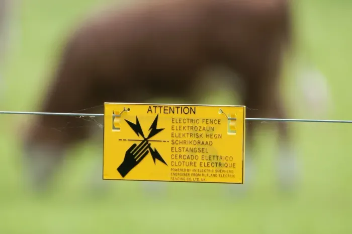 Framed Print : Attention, Electric Fence sign on electric fence wire, with cattle grazing on pasture in background, Norfolk, England Framed Print : Attention, Electric Fence sign on electric fence wire, with cattle grazing on pasture in background, Norfolk, England