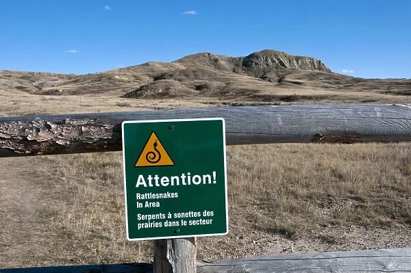 Attention! Rattlesnakes in Area warning sign on fence in shortgrass prairie, West Bloc, Grasslands N. P. Southern Saskatchewan, Canada, october