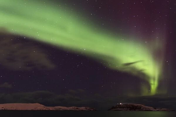 Aurora Borealis, over coastline at night, Hornoya Island, Vardo, Finnmark, Norway, March