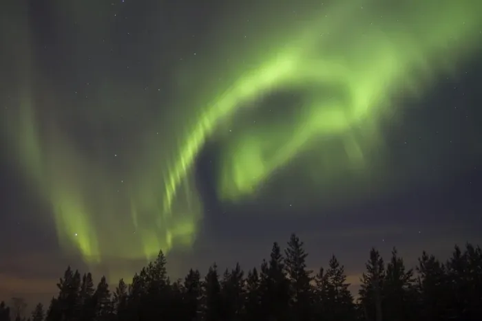Framed Print : Aurora Borealis, over coniferous forest at night, Finland, february Framed Print : Aurora Borealis, over coniferous forest at night, Finland, february