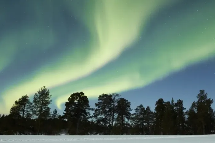 Framed Print : Aurora Borealis, over snow covered coniferous forest at night, Northern Finland, March Framed Print : Aurora Borealis, over snow covered coniferous forest at night, Northern Finland, March