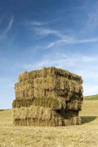 Bales of hay, stacked in flat eight system on field, Cumbria, England, July