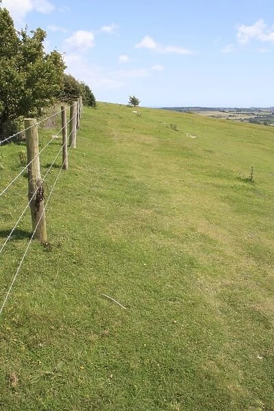 Barbed wire fence at edge of chalk downland reserve habitat, Arreton Down, Arreton, Isle of Wight, England, june