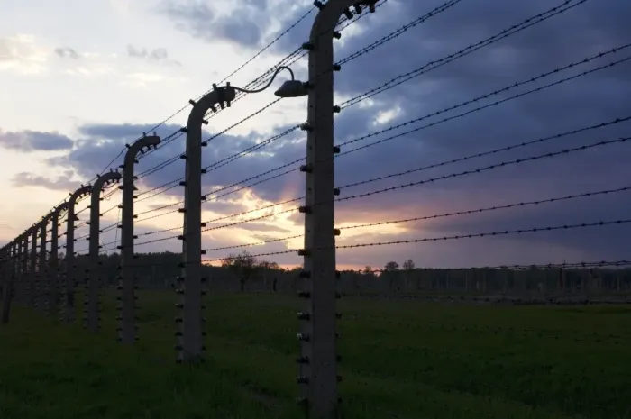 Framed Print : Barbed wire fence at sunset, in concentration and extermination camp, Auschwitz Birkenau, Poland Framed Print : Barbed wire fence at sunset, in concentration and extermination camp, Auschwitz Birkenau, Poland