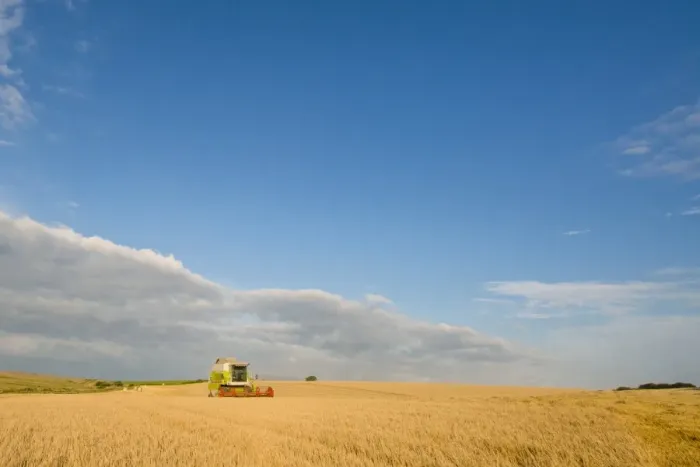 Framed Print : Barley (Hordeum vulgare) crop, Cls combine harvester harvesting ripe field, Norfolk, England, August Framed Print : Barley (Hordeum vulgare) crop, Cls combine harvester harvesting ripe field, Norfolk, England, August