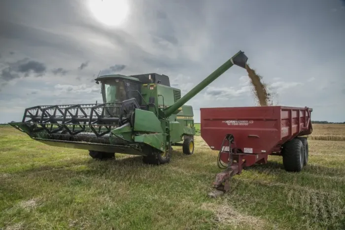 Framed Print : Barley (Hordeum vulgare) crop, John Deere combine harvester unloading harvested grain into trailer, Pilling, Preston Framed Print : Barley (Hordeum vulgare) crop, John Deere combine harvester unloading harvested grain into trailer, Pilling, Preston