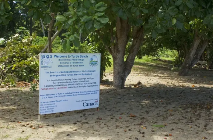 Framed Print : This Beach is a Nesting and Research Site for Critically Endangered Sea Turtles sign, Turtle Beach, Corlands Bay