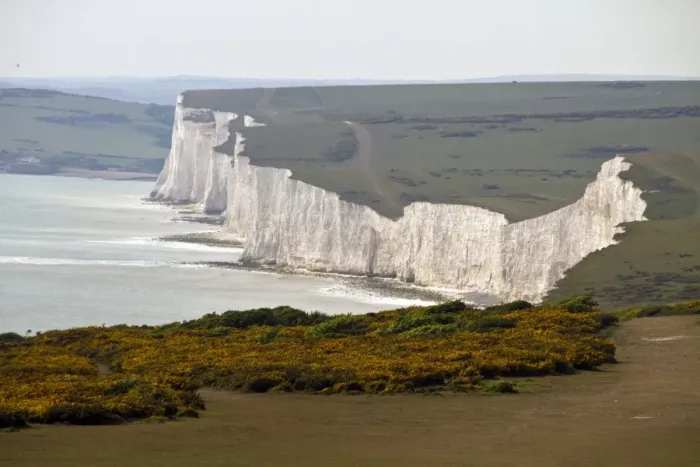 Framed Print : Beachy Head looking west over Birling Gap over gorse. This is a chalk headland on the south coast of England Framed Print : Beachy Head looking west over Birling Gap over gorse. This is a chalk headland on the south coast of England