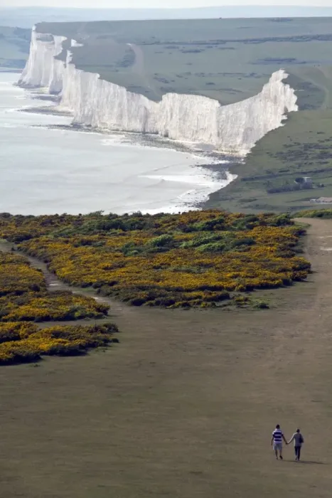 Framed Print : Beachy Head looking west over Birling Gap over gorse. This is a chalk headland on the south coast of England