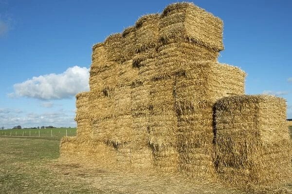 Big bale straw stack in field, Sweden, October