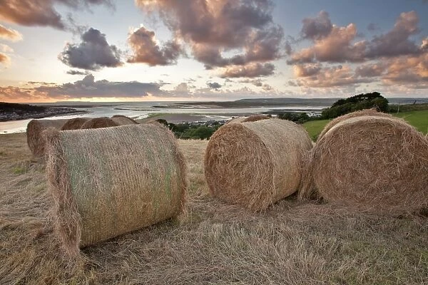 Big round hay bales in coastal meadow at sunset, overlooking Instow and Taw and Torridge Rivers, North Devon, England