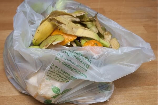 Biodegradable bag with fruit peelings for compost heap, England
