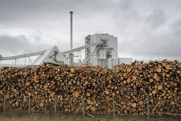 Biomass powerstation with stack of timber, largest biomass plant in Scotland, Stevens Croft Biomass Power Station