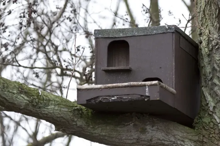Framed Print : Bird nesting box suitable for Barn Owl or kestrel