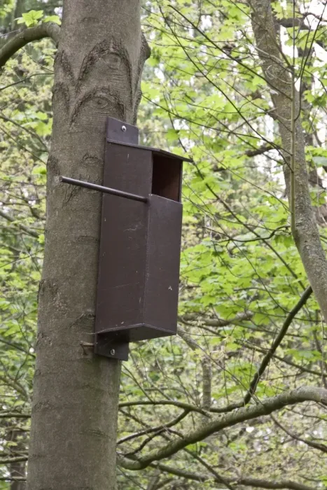 Framed Print : A bird nesting box in woodland setting, most suitable for birds of prey like owls or Kestrels Framed Print : A bird nesting box in woodland setting, most suitable for birds of prey like owls or Kestrels