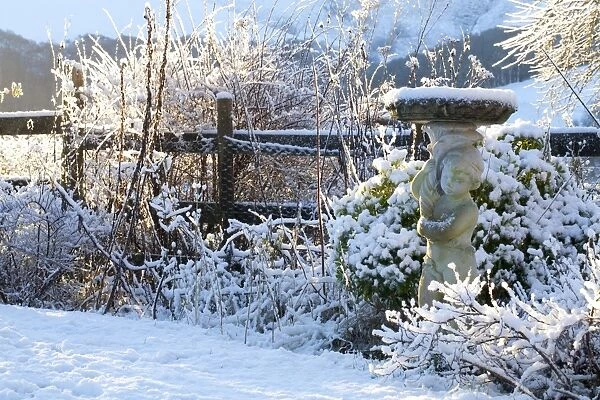 Birdbath sculpture in snow covered garden, Powys, Wales, January