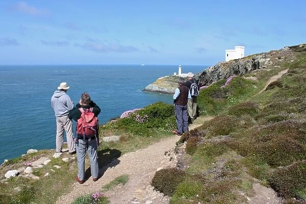 Birdwatchers overlooking coastline, Ellins Tower, South Stack Lighthouse, RSPB South Stack Cliffs, Anglesey, Wales, may