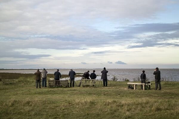 Birdwatchers at Snettisham North Norfolk for the autumn high tide where large numbers of wading birds gather