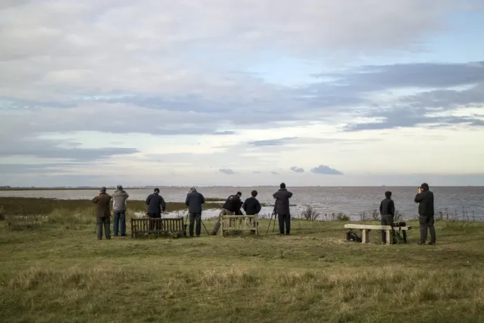 Framed Print : Birdwatchers at Snettisham North Norfolk for the autumn high tide where large numbers of wading birds gather Framed Print : Birdwatchers at Snettisham North Norfolk for the autumn high tide where large numbers of wading birds gather