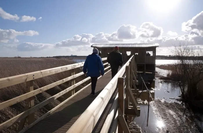 Framed Print : Birdwatchers walking on boardwalk towards hide in coastal wetland, Island Mere Hide, Minsmere RSPB Reserve, Suffolk Framed Print : Birdwatchers walking on boardwalk towards hide in coastal wetland, Island Mere Hide, Minsmere RSPB Reserve, Suffolk