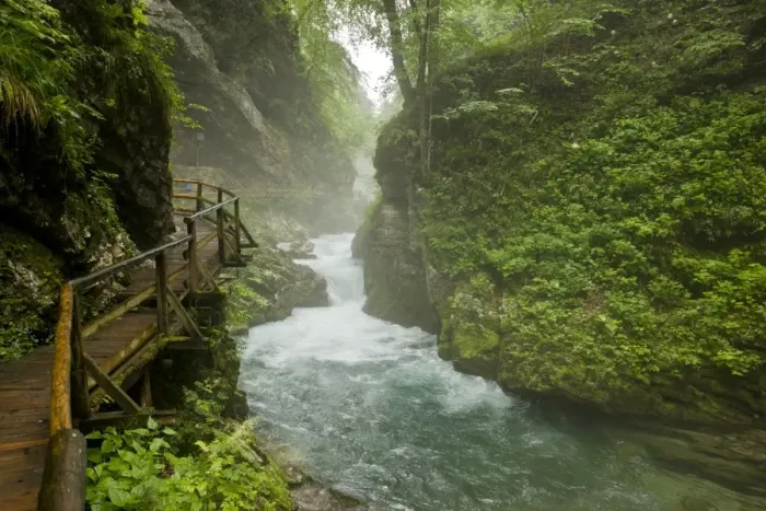 Framed Print : Boardwalk in mountain river gorge, Radovna River, Vintgar Gorge, Triglav N. P. Julia Alps, Slovenia, june Framed Print : Boardwalk in mountain river gorge, Radovna River, Vintgar Gorge, Triglav N. P. Julia Alps, Slovenia, june