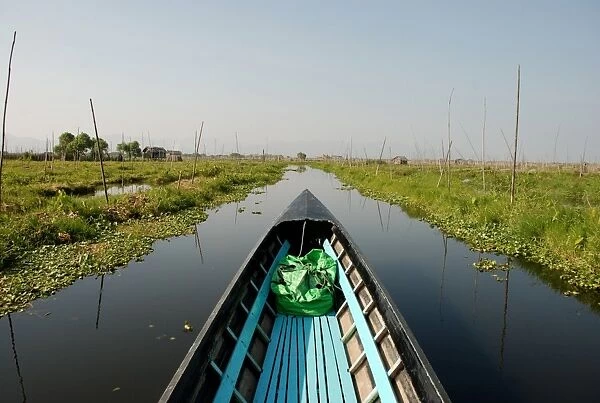 Boat in channel between floating vegetable gardens, Inle Lake, Shan State, Myanmar, January