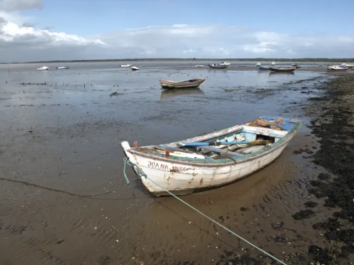 Framed Print : Boats in coastal estuary at low tide, Sado Estuary Nature Reserve, near Mitrena, Portugal, march Framed Print : Boats in coastal estuary at low tide, Sado Estuary Nature Reserve, near Mitrena, Portugal, march