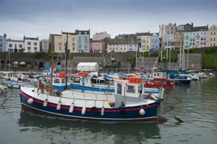 Framed Print : Boats in harbour of seaside town, Tenby, Pembrokeshire, Wales, August Framed Print : Boats in harbour of seaside town, Tenby, Pembrokeshire, Wales, August