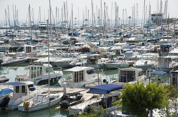 Boats moored at floating docks in harbour, Port d Alcudia, Alcudia, Majorca, Balearic Islands, Spain, September