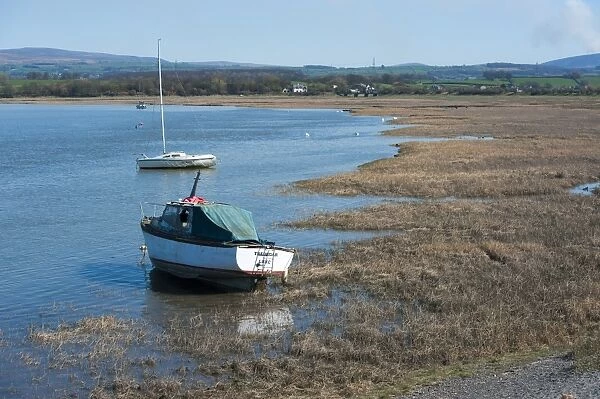 Boats on river beside wetland habitat, Glasson Dock, River Lune, Lancaster, Lancashire, England, march