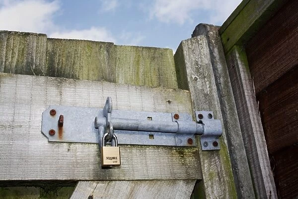 Bolt and padlock on garden gate, Mendlesham, Suffolk, England, February