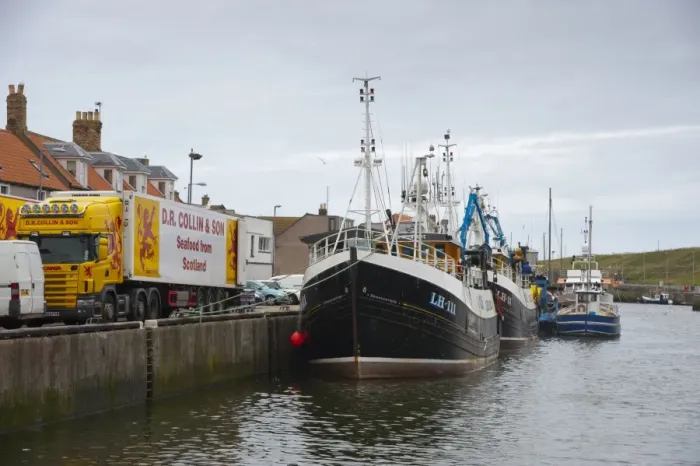 Framed Print : Bonaventure LH111 fishing trawler unloading at harbour, Eyemouth, Berwickshire, Scottish Borders, Scotland, july Framed Print : Bonaventure LH111 fishing trawler unloading at harbour, Eyemouth, Berwickshire, Scottish Borders, Scotland, july