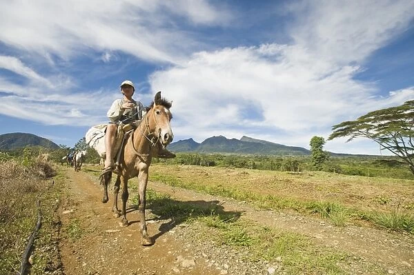 Boy riding pack horse, descending from inactive volcano, Mount Kitanglad, Kitanglad Mountain Range, Mindanao Island