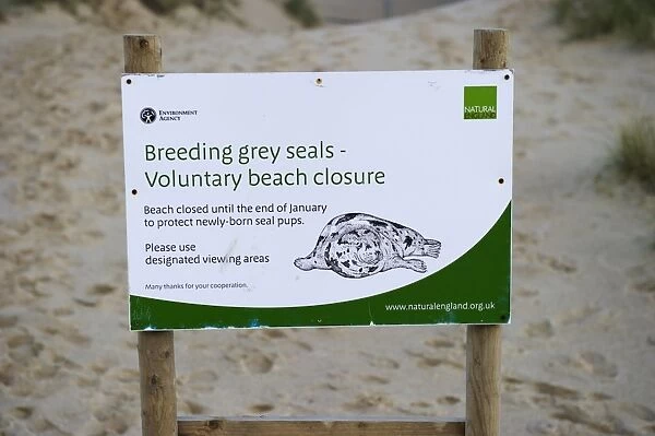 Breeding Grey Seals, Voluntary Beach Closure sign on beach near seal colony, Winterton, Norfolk, England, december